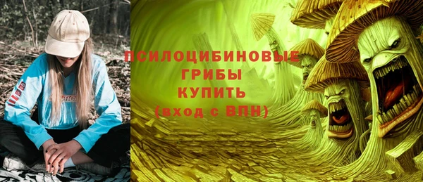 ПСИЛОЦИБИНОВЫЕ ГРИБЫ Алзамай