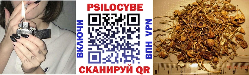 Галлюциногенные грибы Psilocybe  Дегтярск 