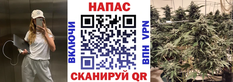 Шишки марихуана марихуана Дегтярск